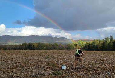 McCain is looking at new ways to farm sustainably