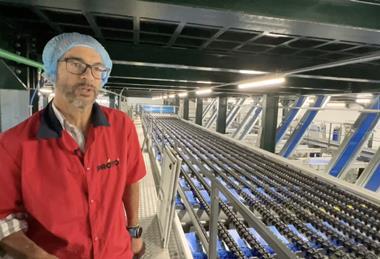 Proto opens new kiwifruit facility