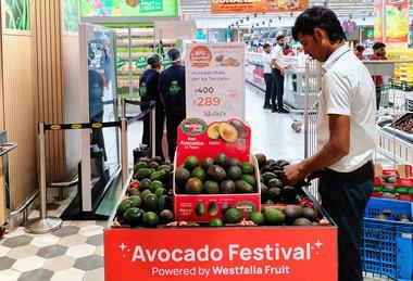 Westfalia avo promotion India 1