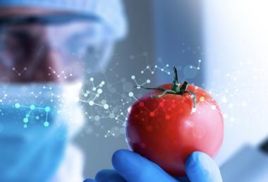 Gene editing Tomato DNA Adobe Stock