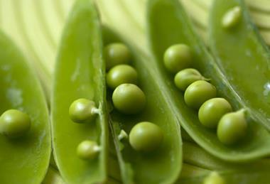 The project should boost pea production