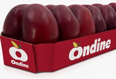 Ondine pack flat nectarines