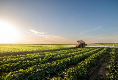 Farmers are having to rethink their succession strategies