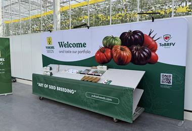 Yuksel Experience Showcase Delphy Netherlands