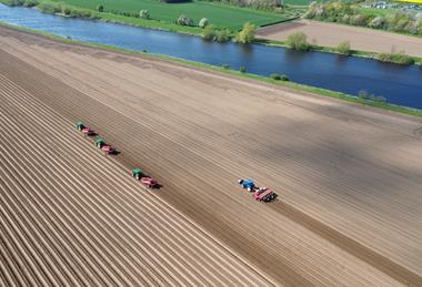 Greenvale is a major potato supplier to processing, retail and wholesale