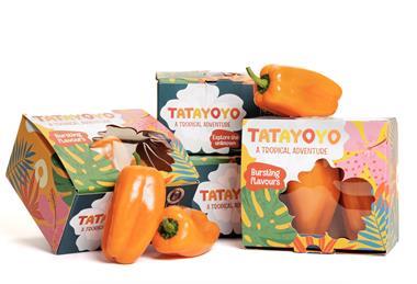Rijk Zwaan Tatayoyo pepper boxes 2026