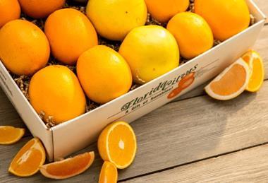 Florida Department of Citrus