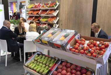 Fruit Attraction