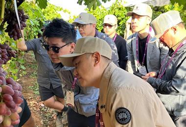 Grapa Global hosts international buyers for its Australian Arra Fire Crunch field day