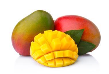 AdobeStock_178731454