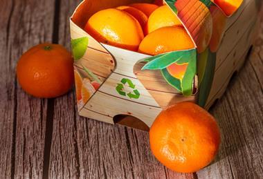 Sustainable packaging citrus recycling  sustainability Adobe Stockjpeg