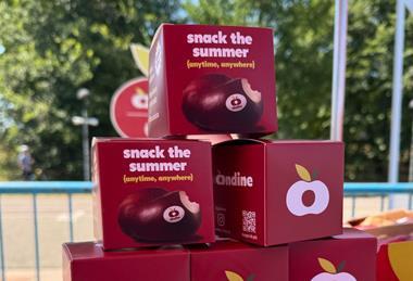 IT Ondine flat nectarines 2