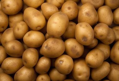 English potatoes are likely to be affected by drought