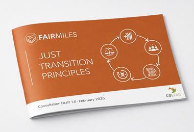 Fairmiles' Just Transition Principles