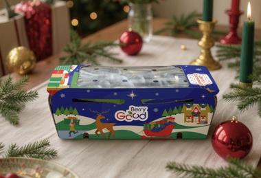 Hortifrut Berry Christmas