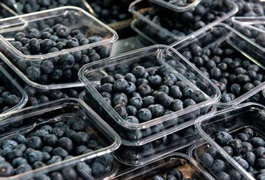 Blueberries in open punnets
