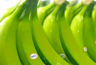 banano verde 1[1]