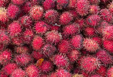 Rambutan