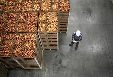 Apples coldstore DP World