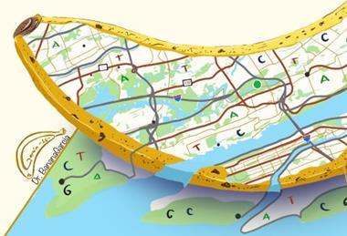 KeyGene pan-genome Dr Banana Fernando Garcia-Bastidas