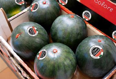 Dolce Passione watermelons