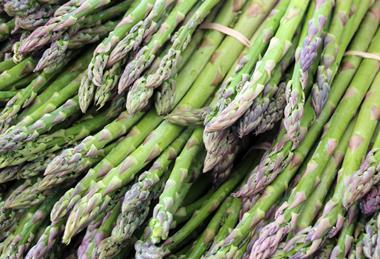 All things asparagus will be discussed