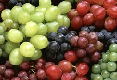 Chilean grapes