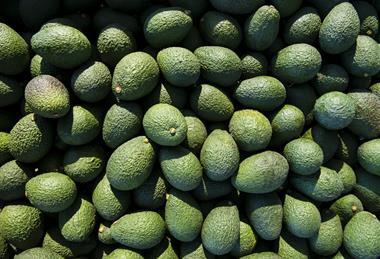 Hass Avocado Board Photo 1