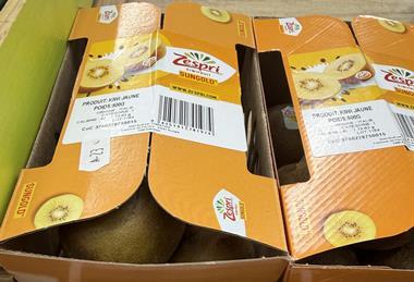 FR Italian SunGold kiwifruit Zespri