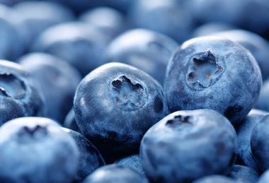 Blueberries closeup Adobe Stock