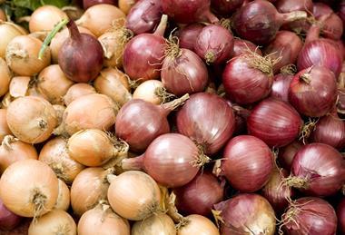 Yields, size and overall quality tracking to hit historic lows amid severe drought stress