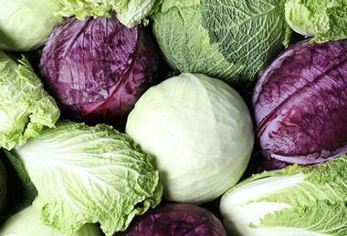 Cabbages