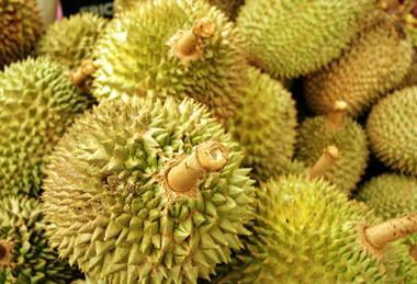 Malaysian durian