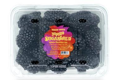 Sugarwild jumbo blackberries Giumarra