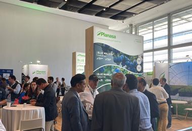 3_Networking at 2025 IBO Summit in South Africa