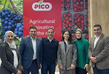Pico team