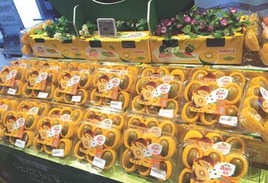 CREDIT Zespri TAGS Kiwifruit SunGold gold retail China supermarket Gsuper display instore