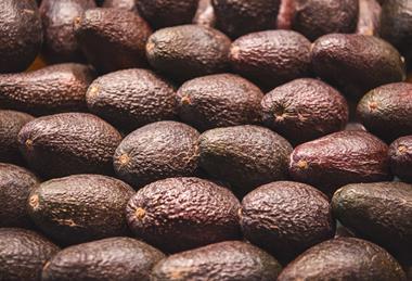 Hass avocados packed in rows Adobe Stock