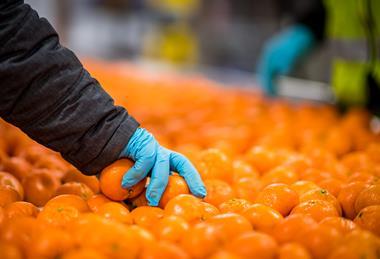 Lineage Facility Interior Fresh_2 (1)