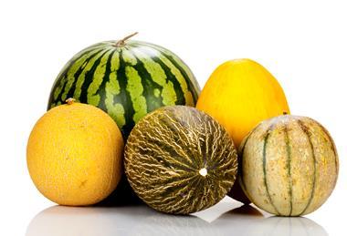 Melonen -