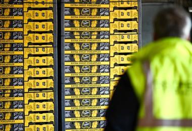 IT Orsero Fratelli Orsero pineapples GF Group Fruttital