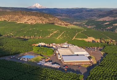 Orchard View cherry production site