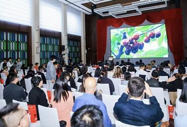 Chilean cherry documentary