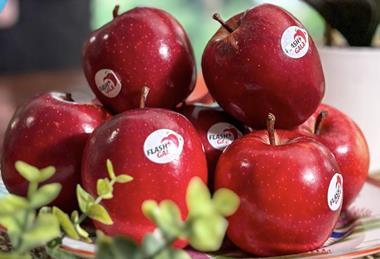 Flash Gala apples piled