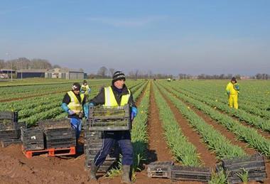 Farming has more physical and outdoor work than other sectors