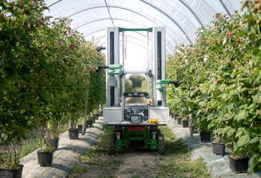 Fieldwork develops robotic crop harvesters