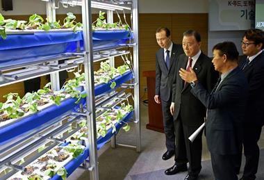 Korean strawberries technology briefing Korea Agro-Fisheries Food Trade Corporation