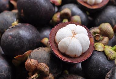 Mangosteen