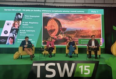 TSW 15 2025 Poland conference panel session