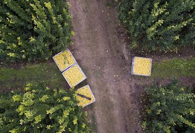 San Miguel Tucumán